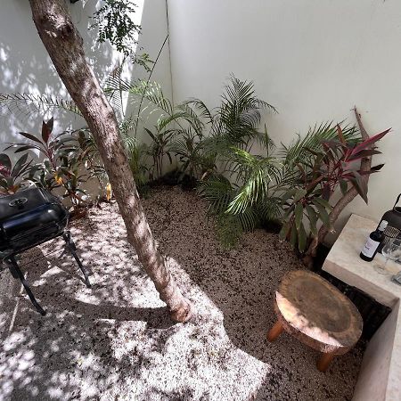 تولوم Condo Jungle Apartment & Private Patio المظهر الخارجي الصورة